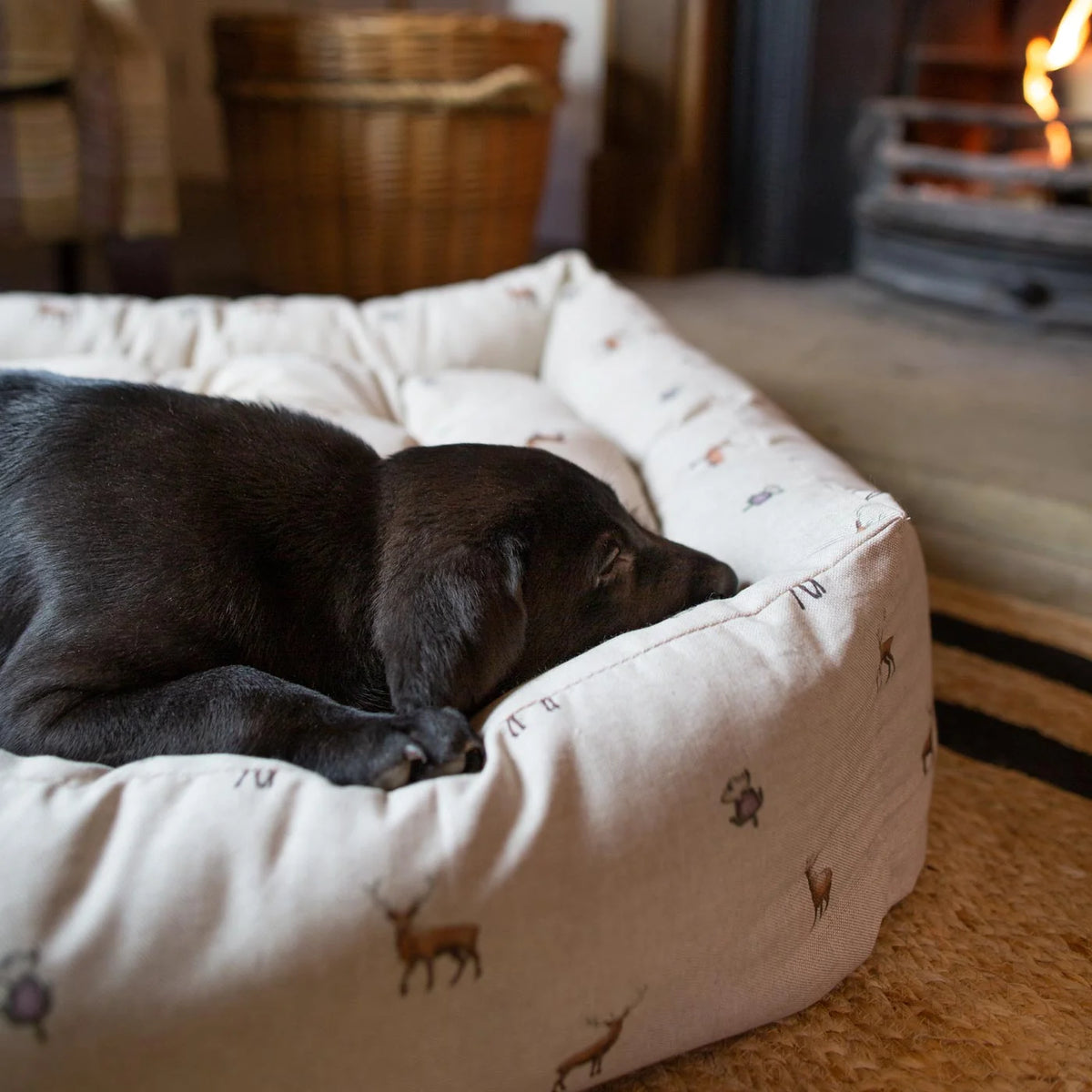 Box Bed For Dogs in Woodlands