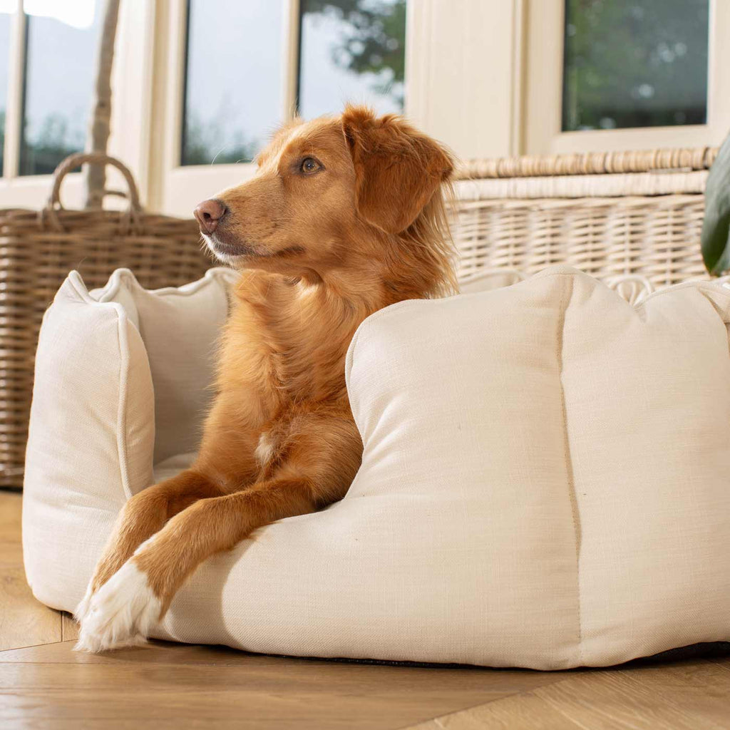 High Wall Bed For Dogs in Savanna