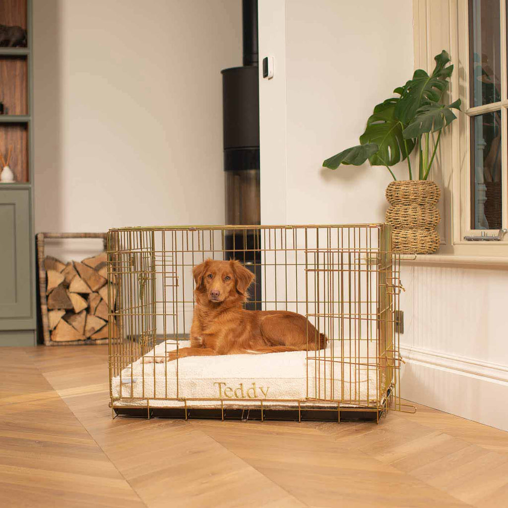 Dog Cushion in Ivory Bouclé