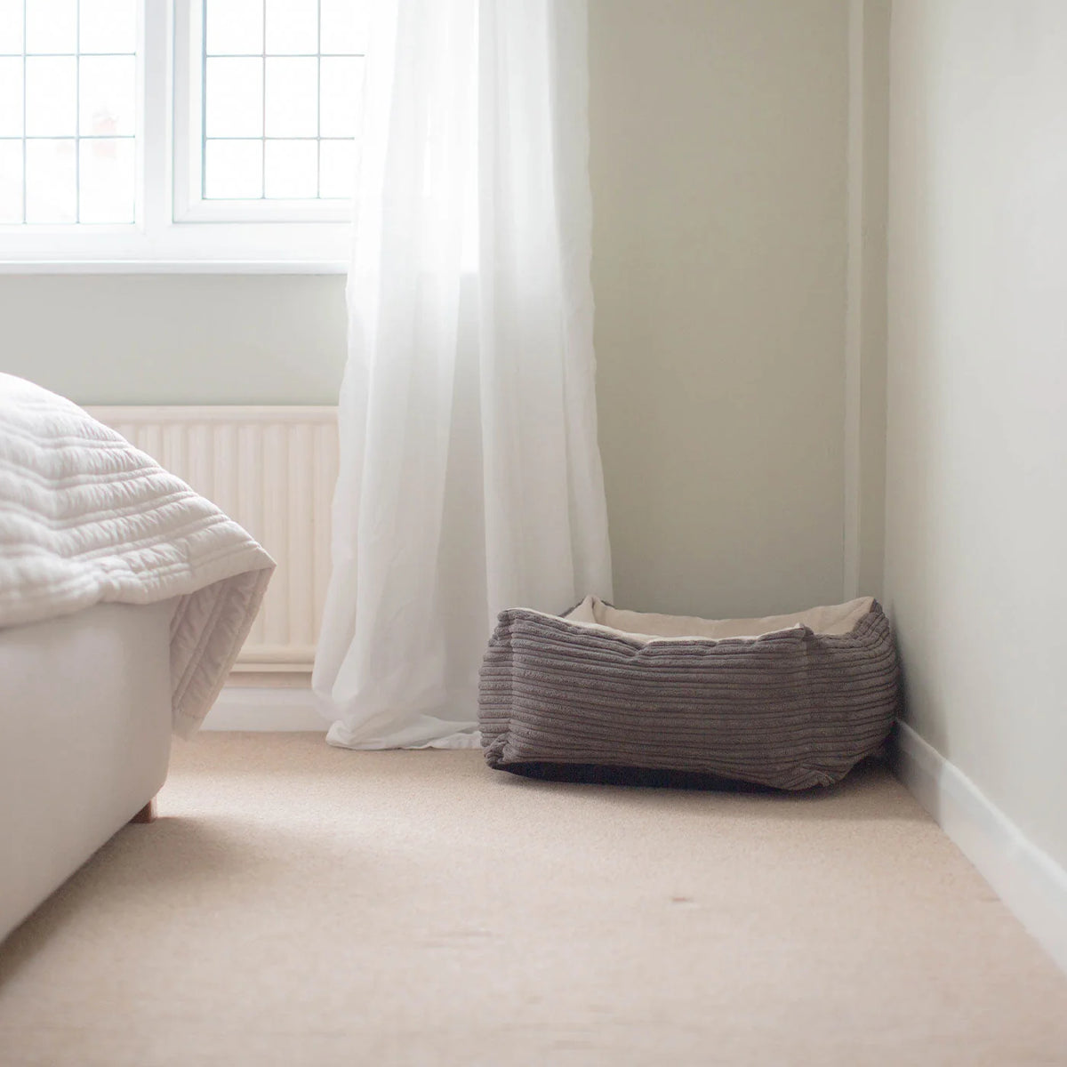 Box Bed For Dogs in Essentials Plush