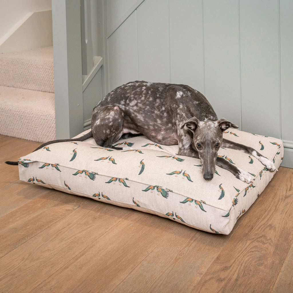 Dog Cushion in Woodland Peacock