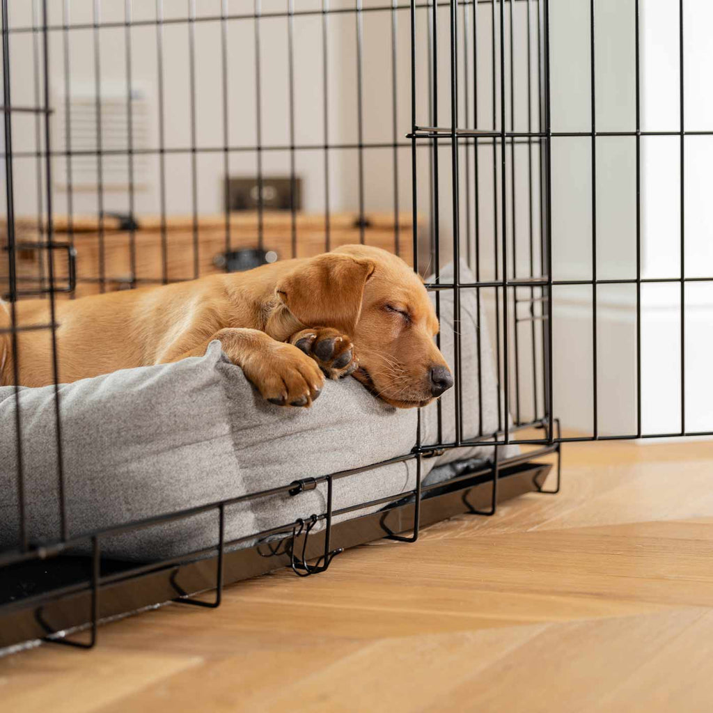 Cozy & Calming Puppy Cage Bed In Inchmurrin Ground