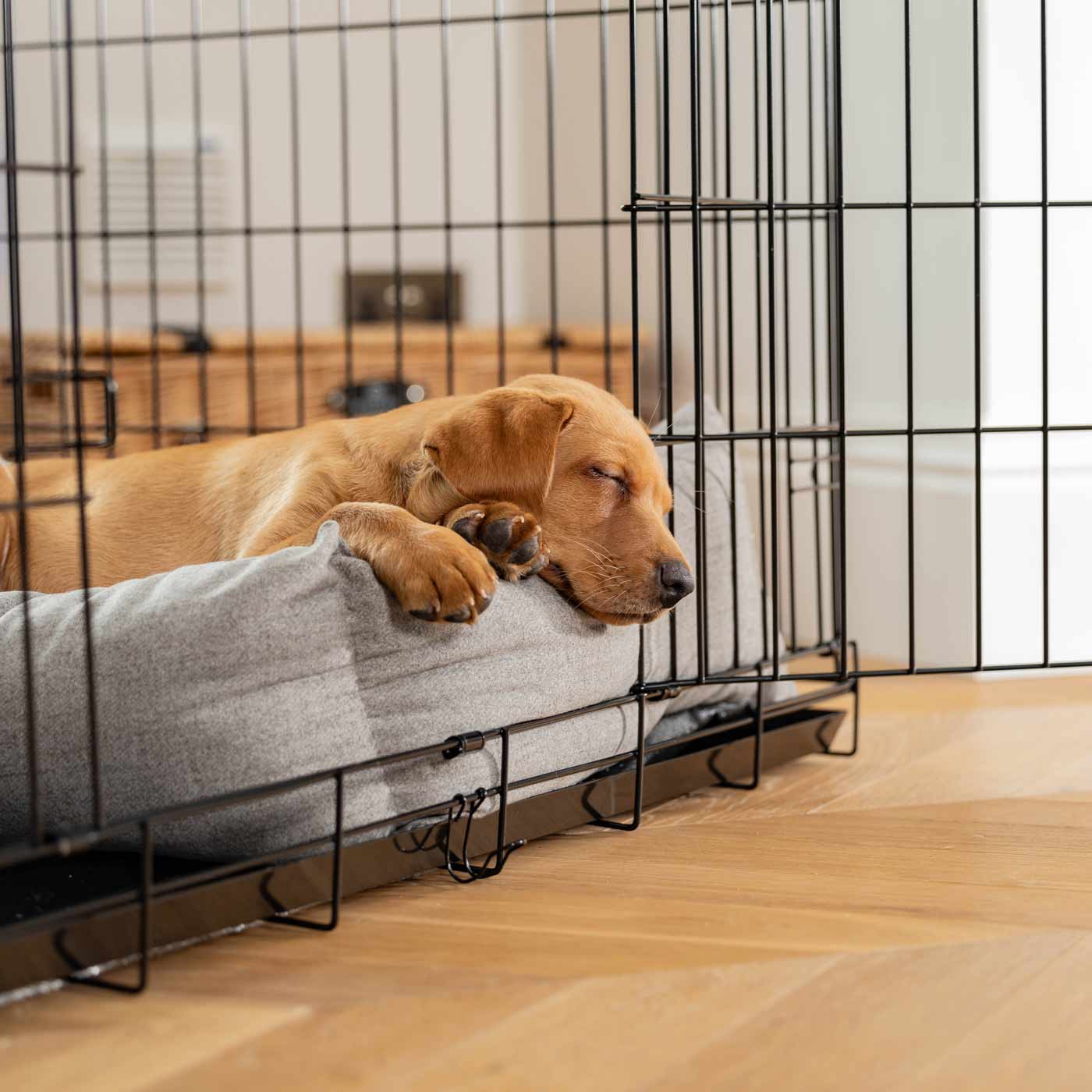 Cozy & Calming Puppy Cage Bed In Inchmurrin Ground