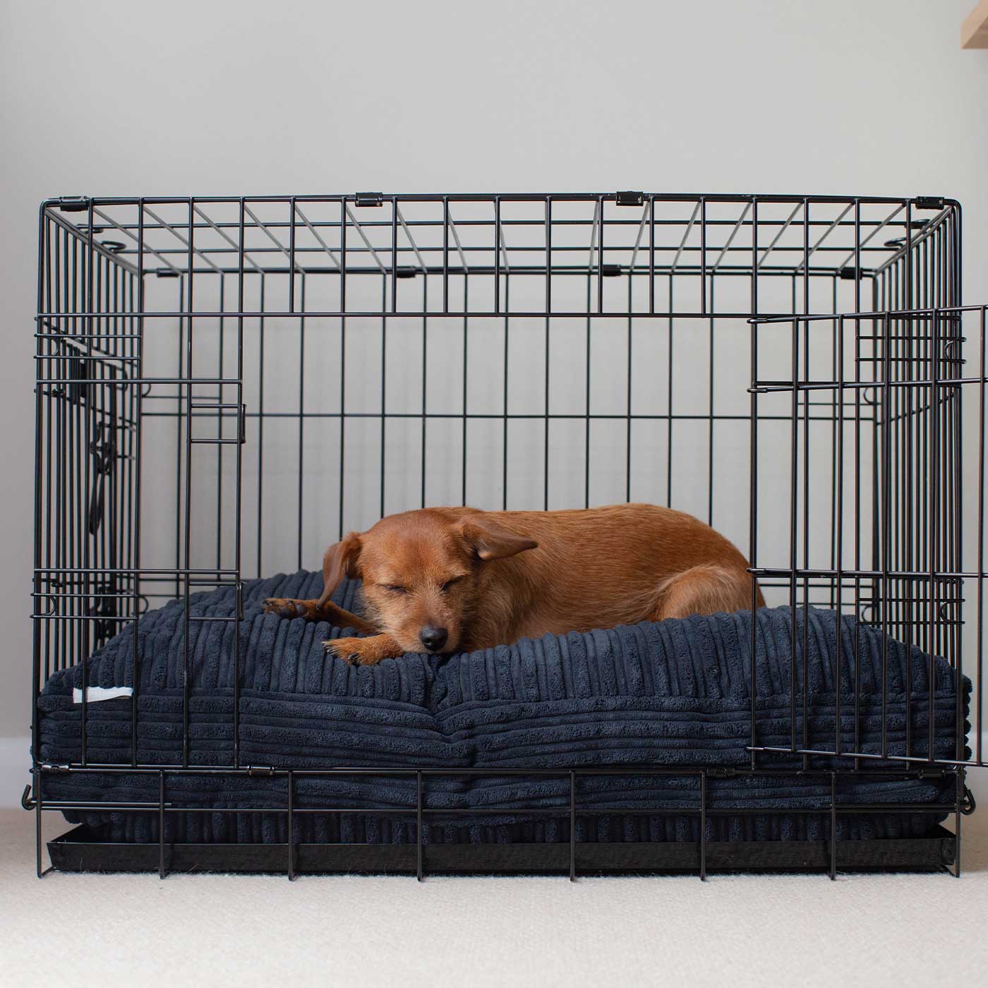 Dog Cushion in Navy Essentials