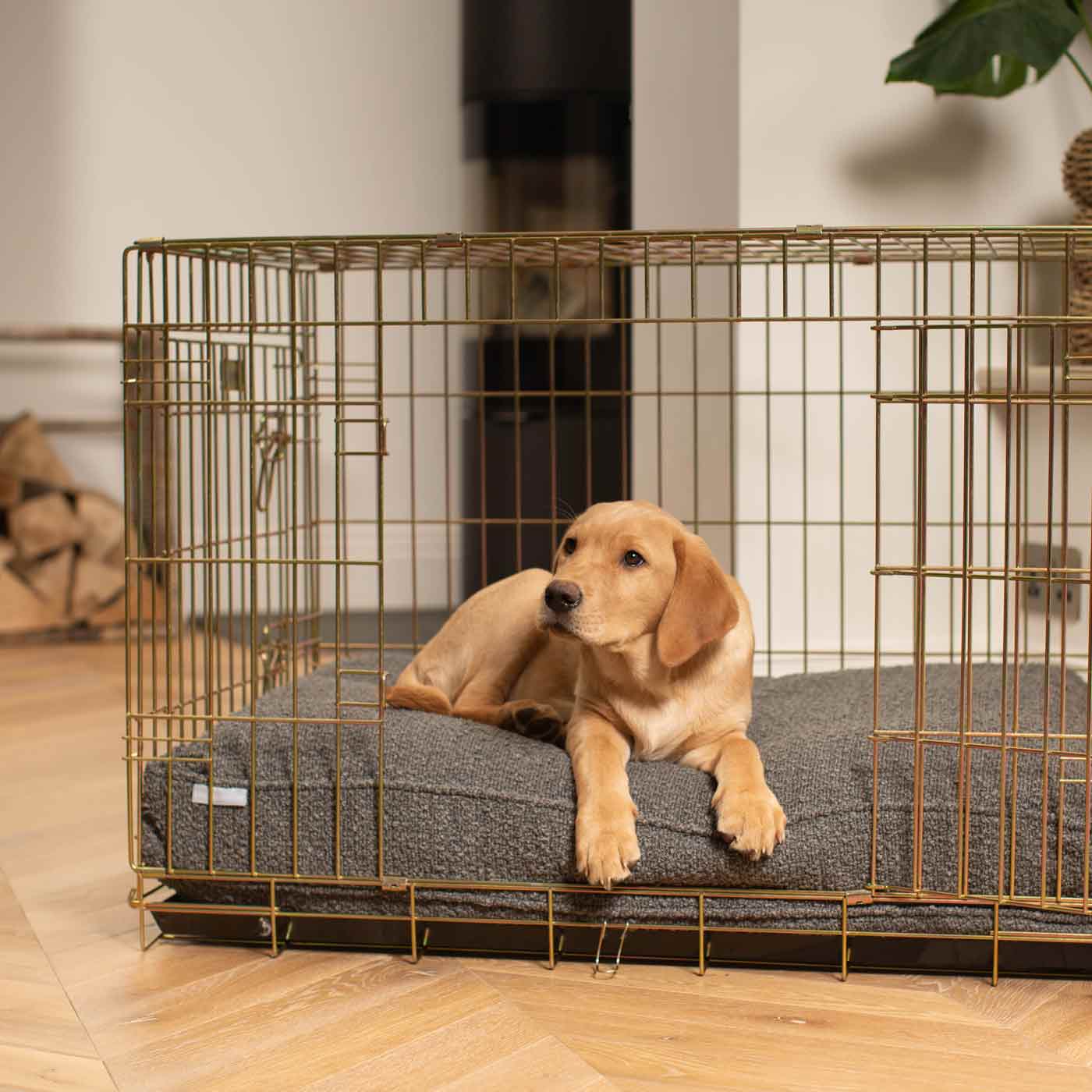 Dog Cushion in Granite Bouclé