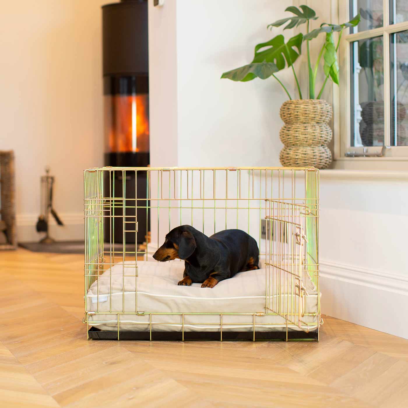 Dog Cushion in Savanna Oatmeal