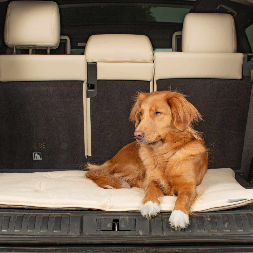 Travel Mat in Savanna Bone