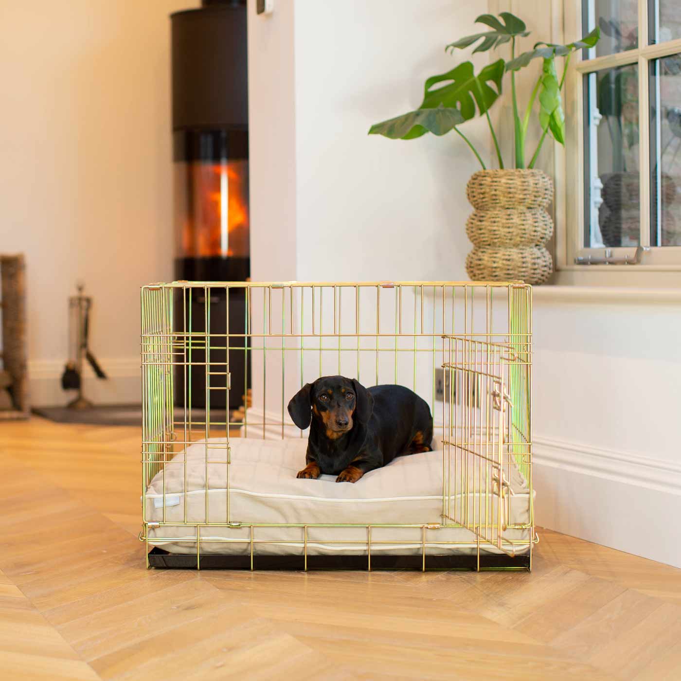 Dog Cushion in Savanna Oatmeal