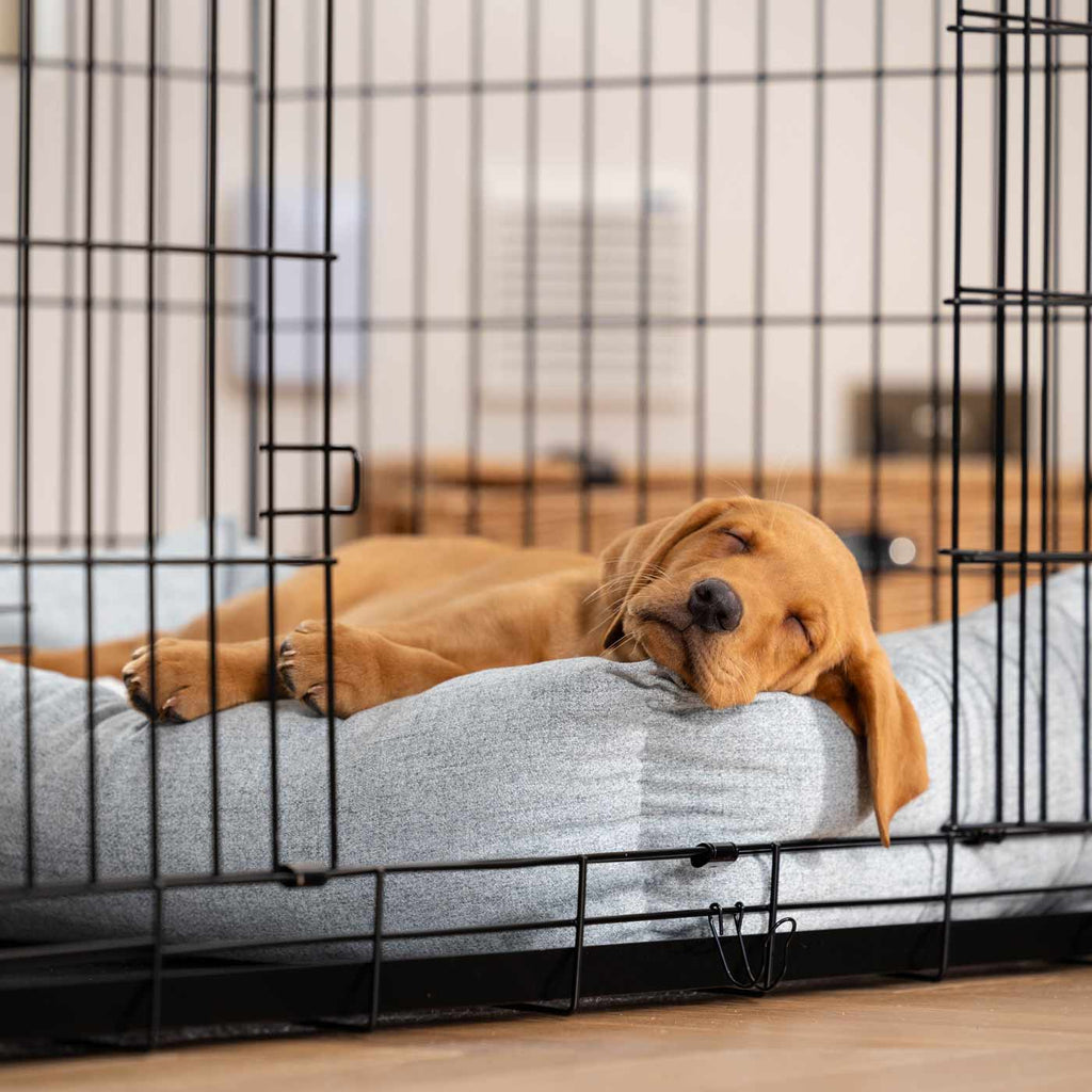 Cozy & Calming Puppy Cage Bed In Inchmurrin Iceberg
