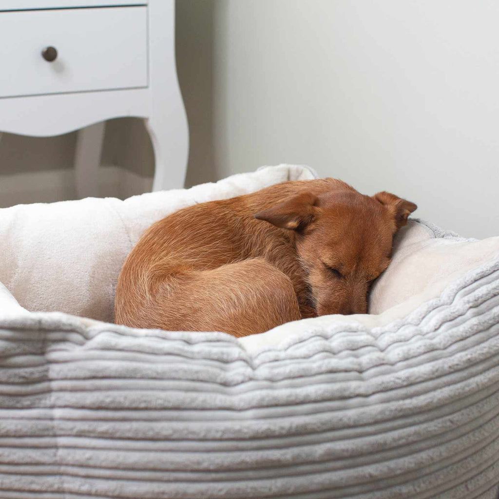 Box Bed For Dogs in Essentials Plush