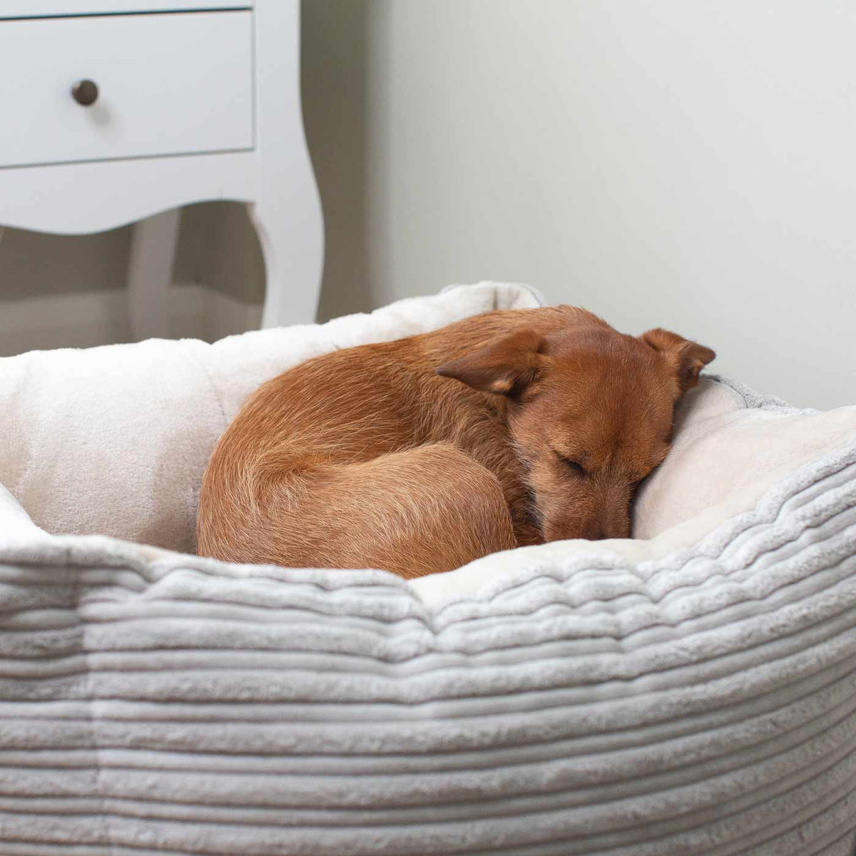 Box Bed For Dogs in Essentials Plush