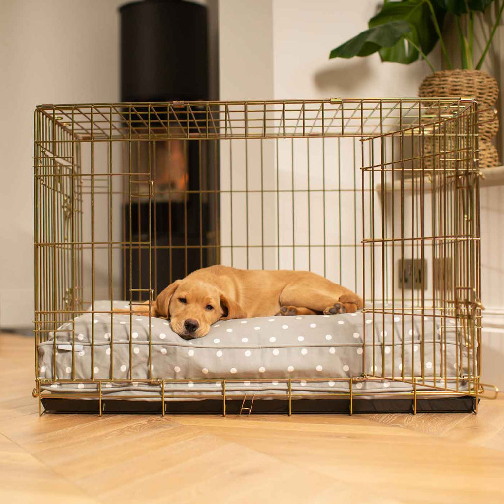 Dog Cushion in Grey Spot