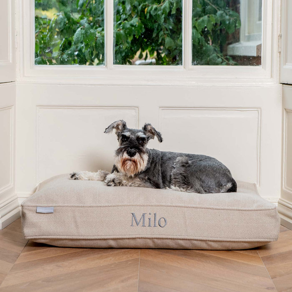 Dog Cushion in Natural Herringbone Tweed