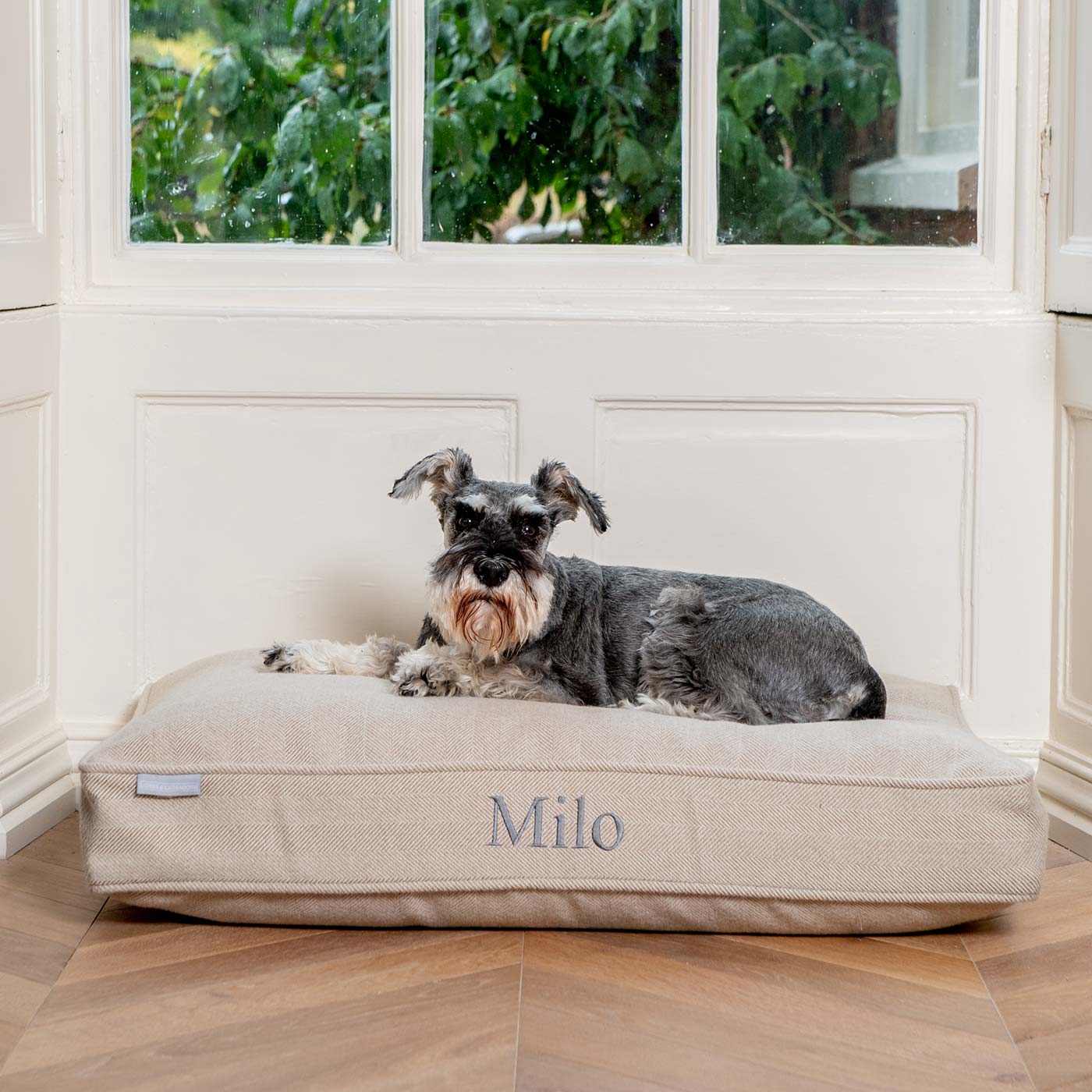 Dog Cushion in Natural Herringbone Tweed