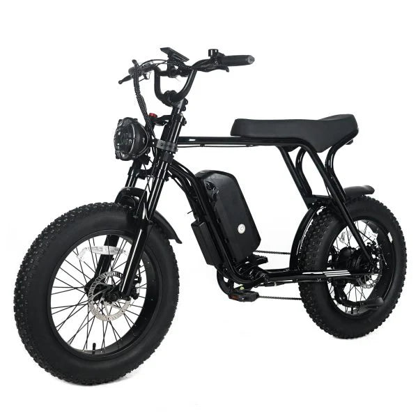 1000W Electric Mountain Bike for Adults with 20 x 4.0 Fat Tires, 48V 20Ah Removable Battery and 7-Speed