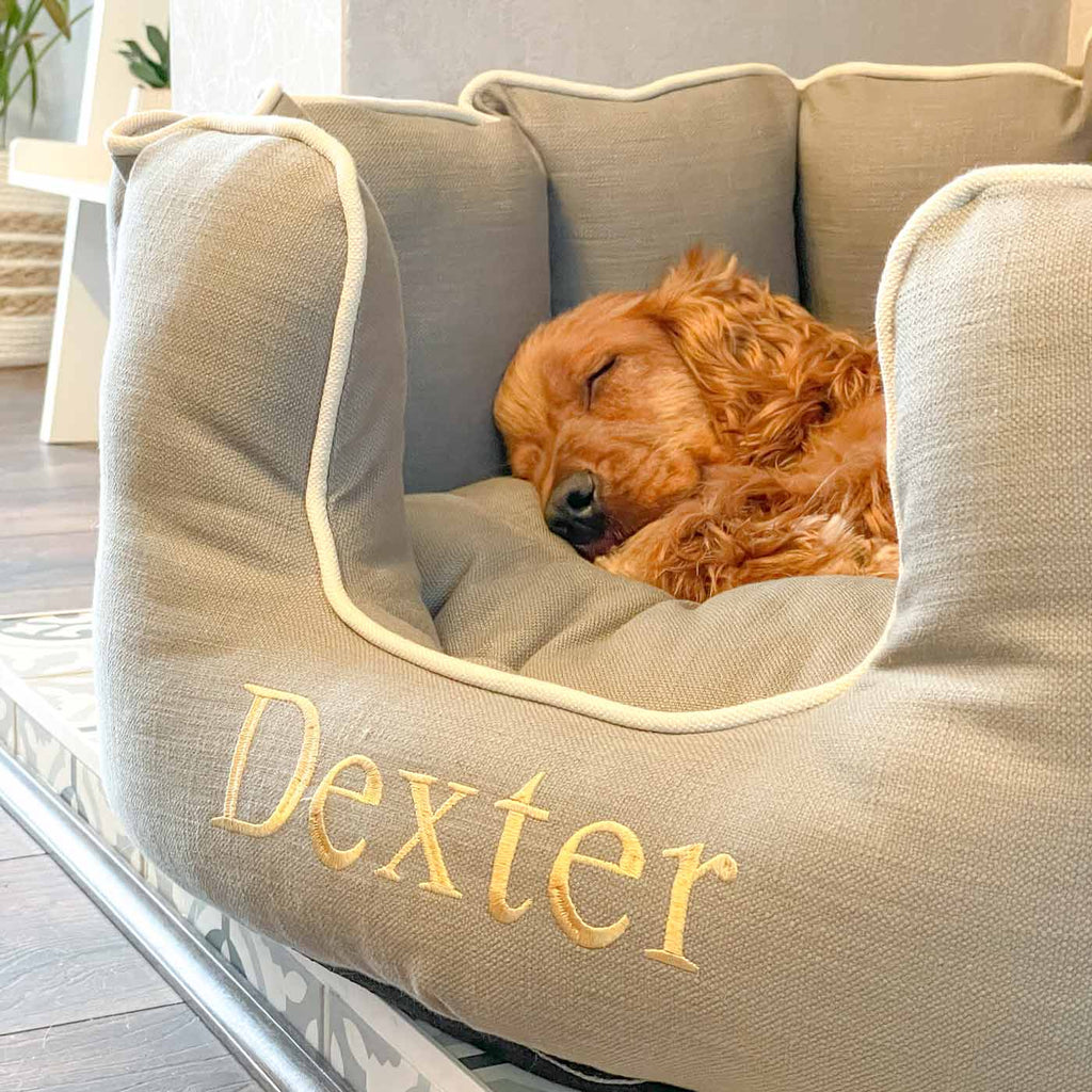 High Wall Bed For Dogs in Savanna