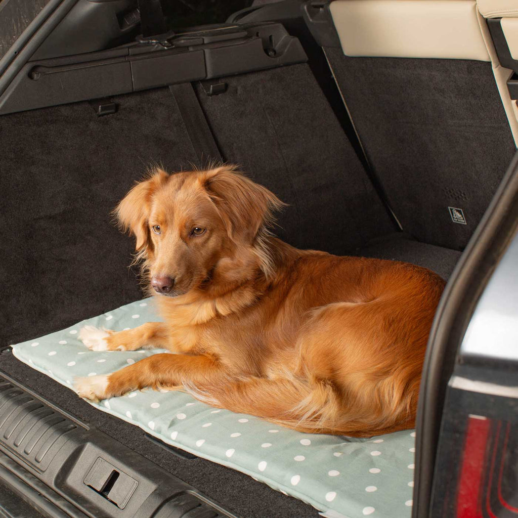 Travel Mat in Duck Egg Spot
