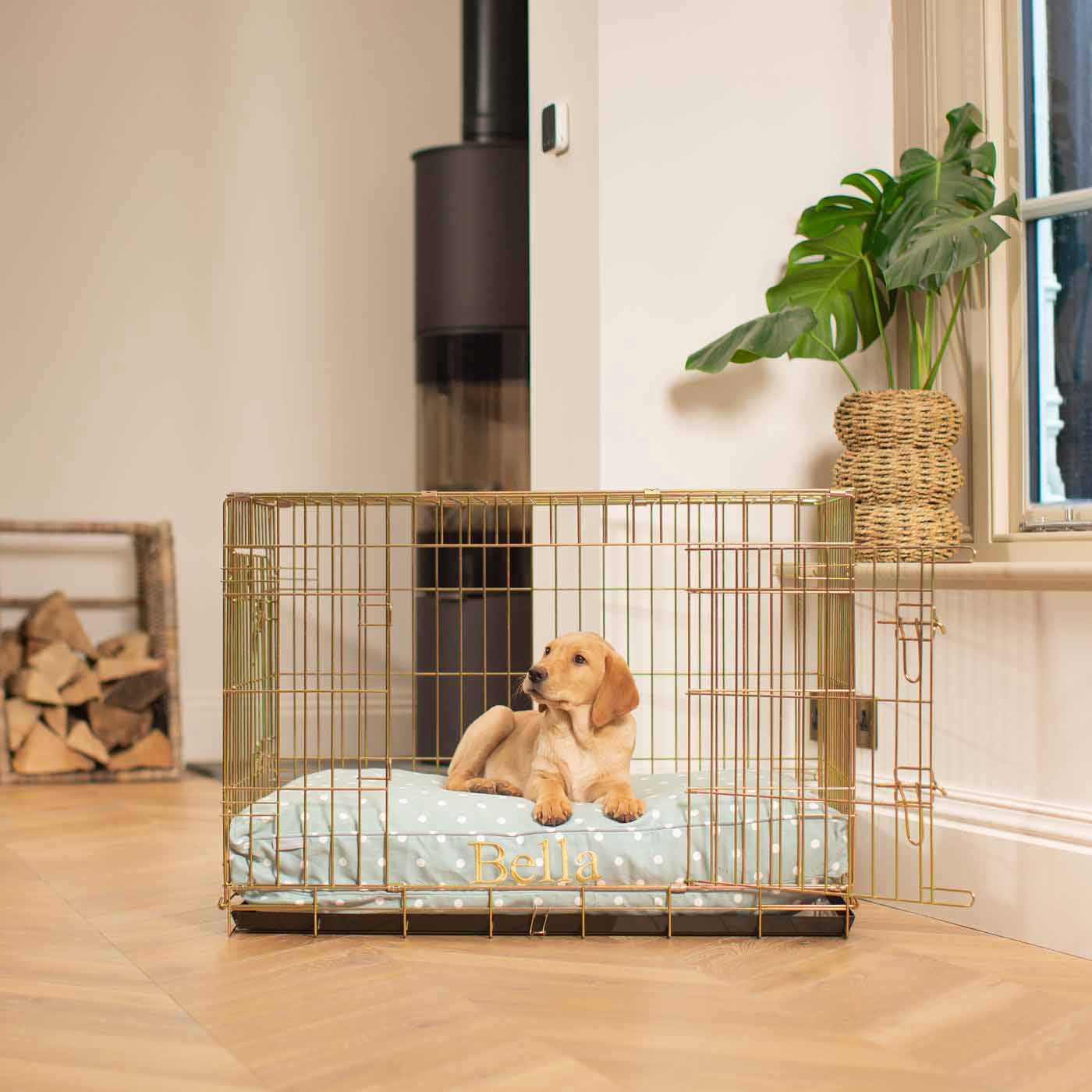 Dog Cushion in Duck Egg Spot
