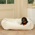 Box Bed For Dogs in Bouclé