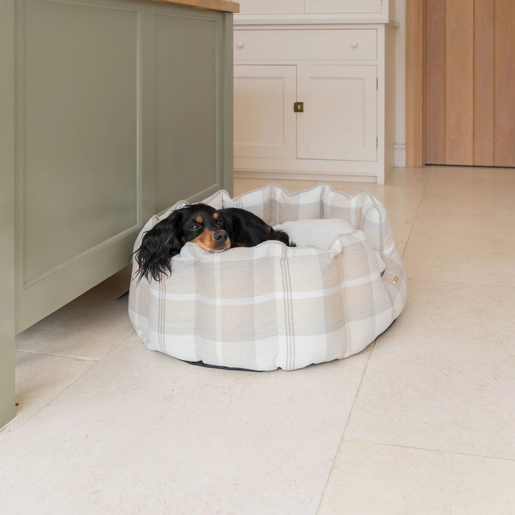 High Wall Bed For Dogs in Balmoral Tweed