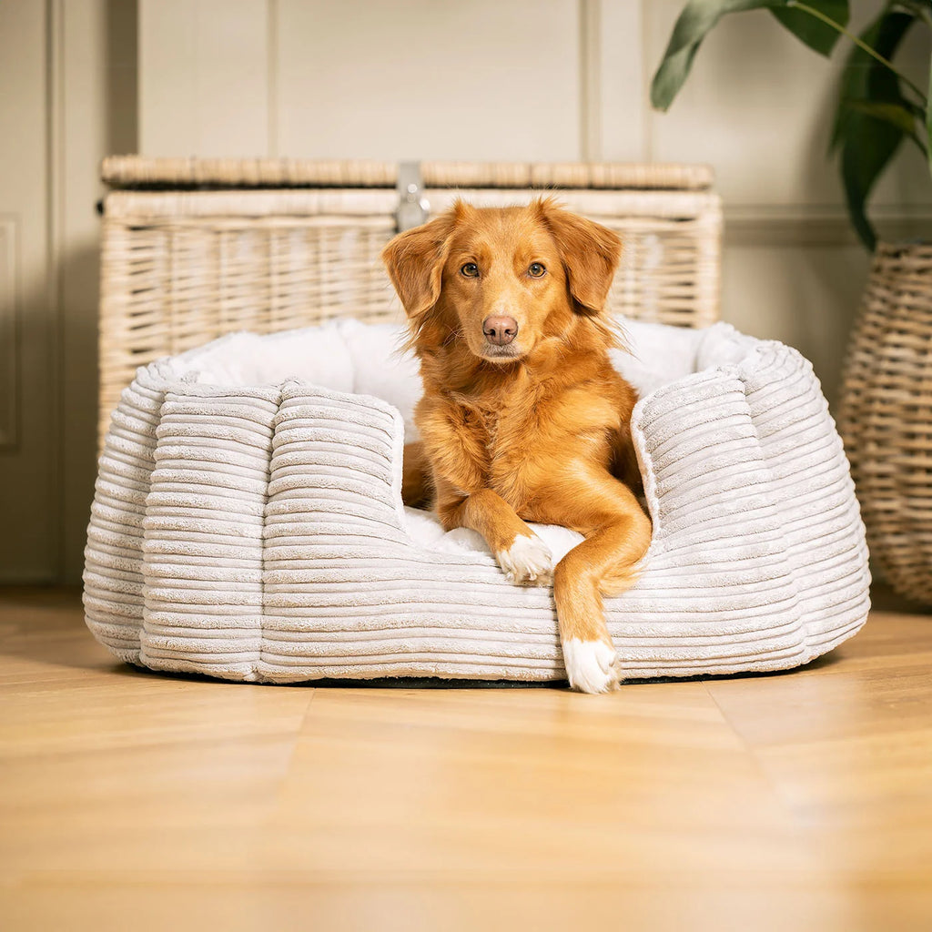 High Wall Bed For Dogs in Essentials Plush
