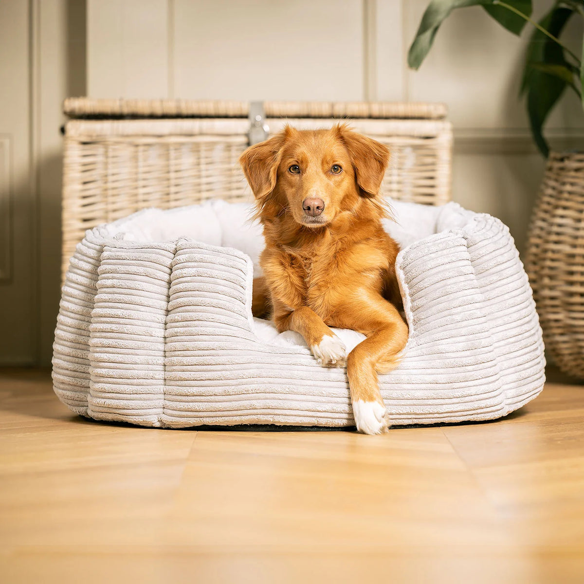 High Wall Bed For Dogs in Essentials Plush