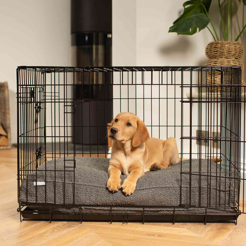 Dog Cushion in Granite Bouclé