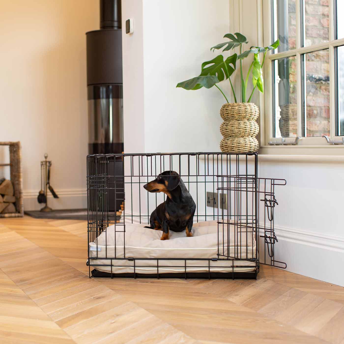 Dog Cushion in Savanna Oatmeal