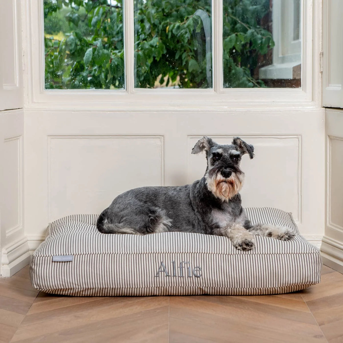 Dog Cushion in Regency Stripe