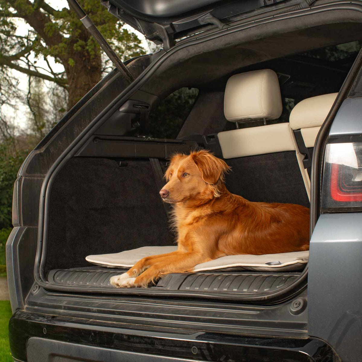 Travel Mat in Savanna Stone