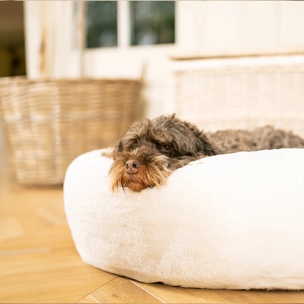 Donut Bed in Calming Anti Anxiety Cream Faux Fur