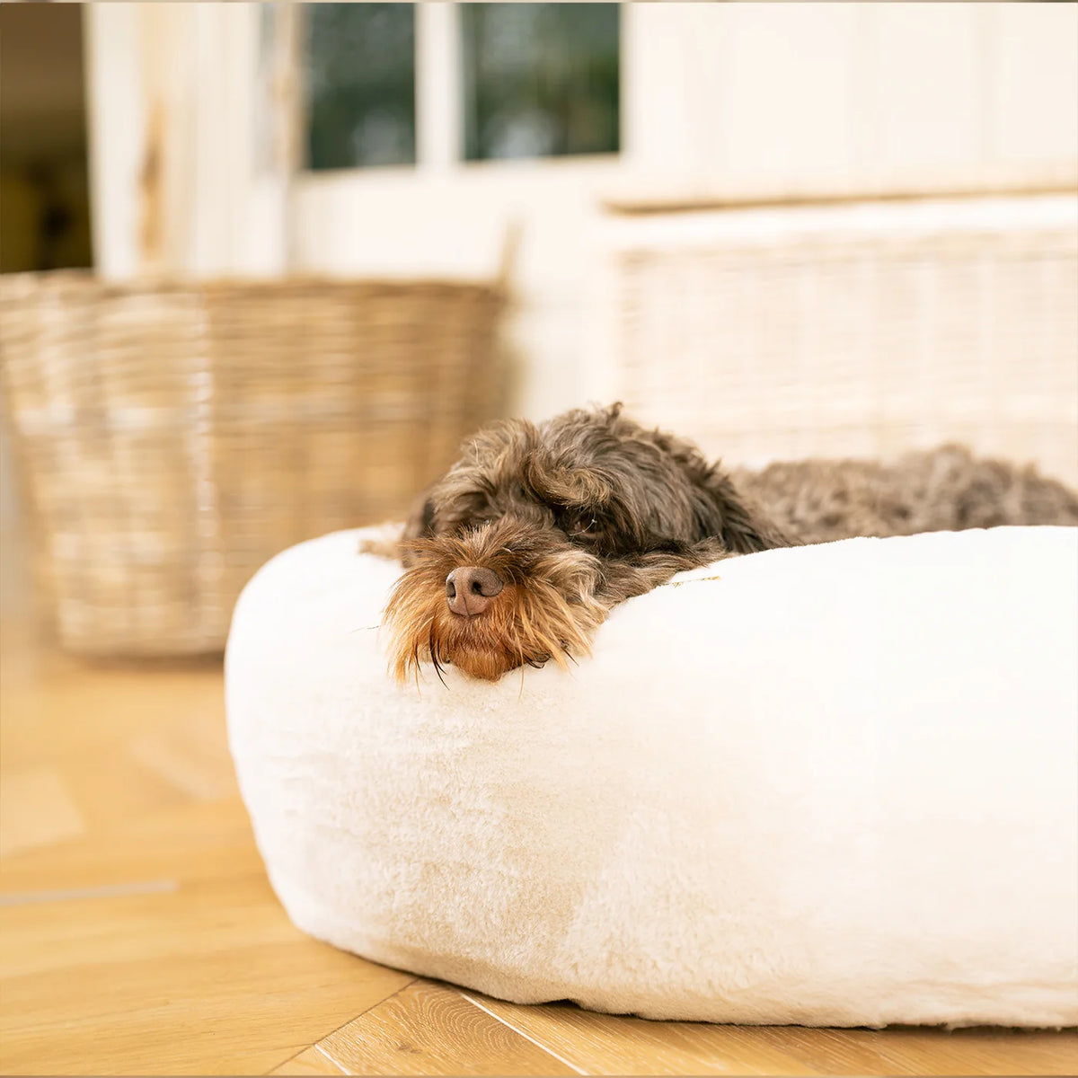 Donut Bed in Calming Anti Anxiety Cream Faux Fur