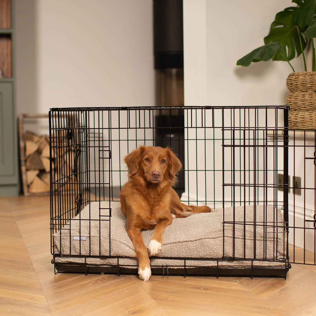 Dog Cushion in Mink Bouclé