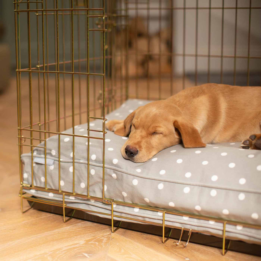 Dog Cushion in Grey Spot