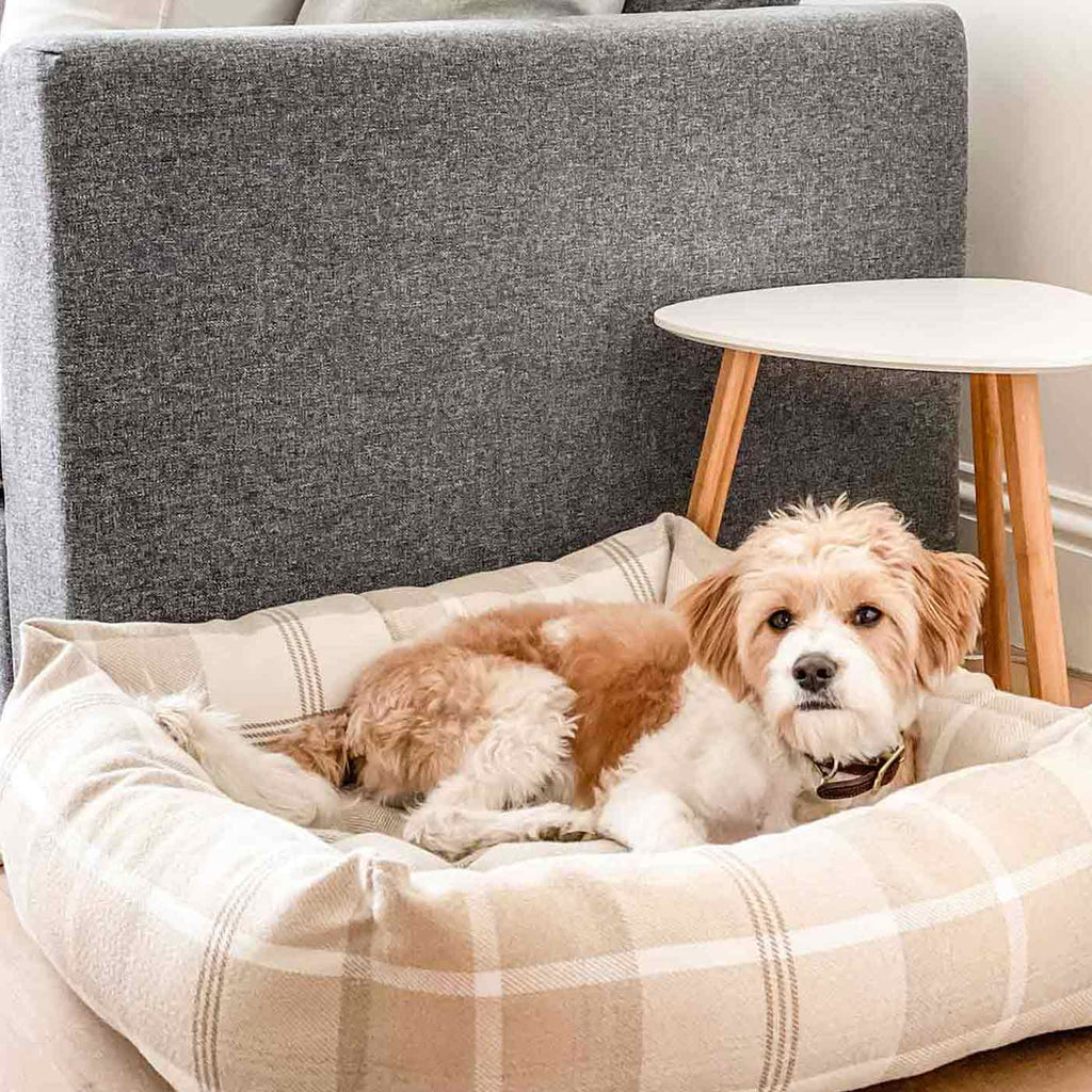 Box Bed For Dogs in Balmoral Tweed