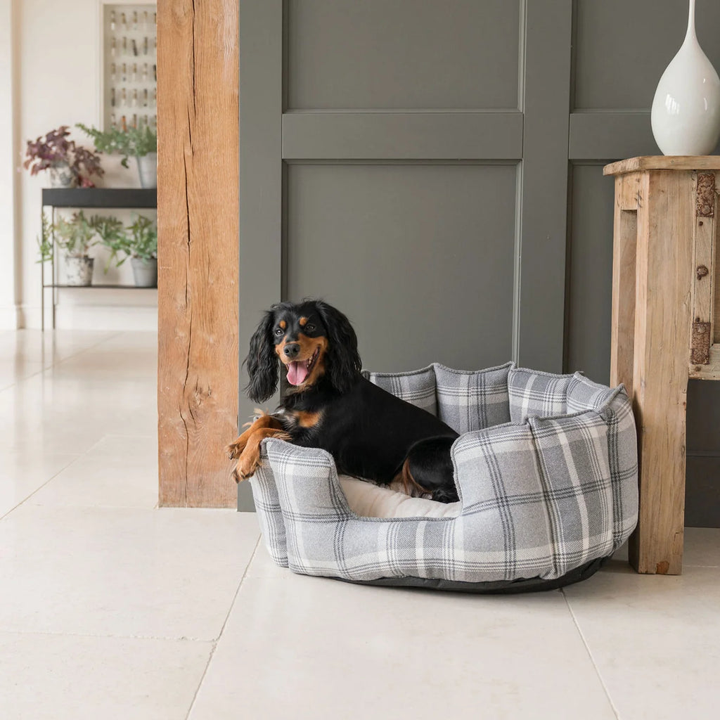 High Wall Bed For Dogs in Balmoral Tweed