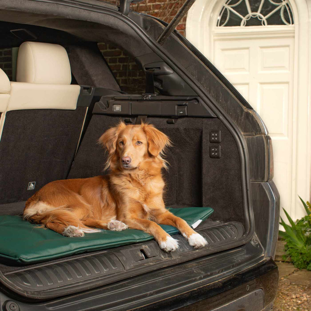 Travel Mat in Forest Rhino Faux Leather