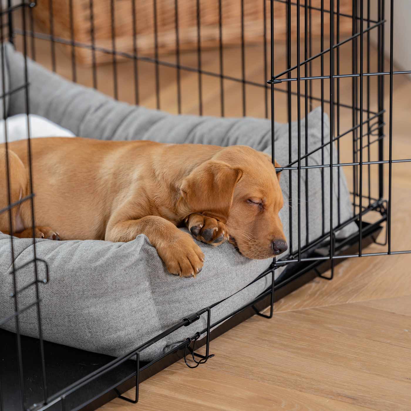 Cozy & Calming Puppy Cage Bed In Inchmurrin Ground