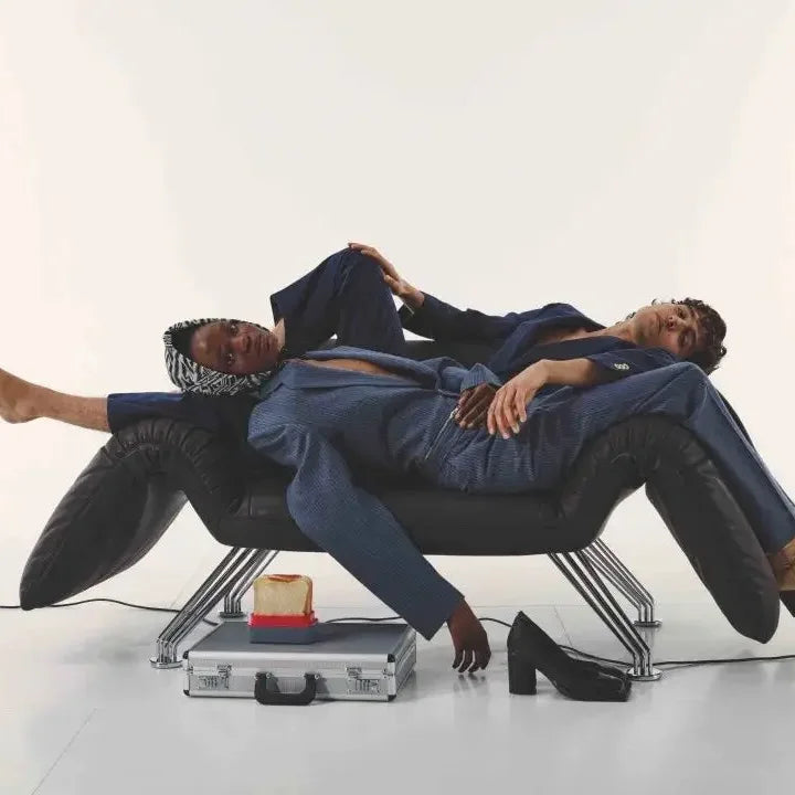 Chaise Sofa Lounge Slipper Chair