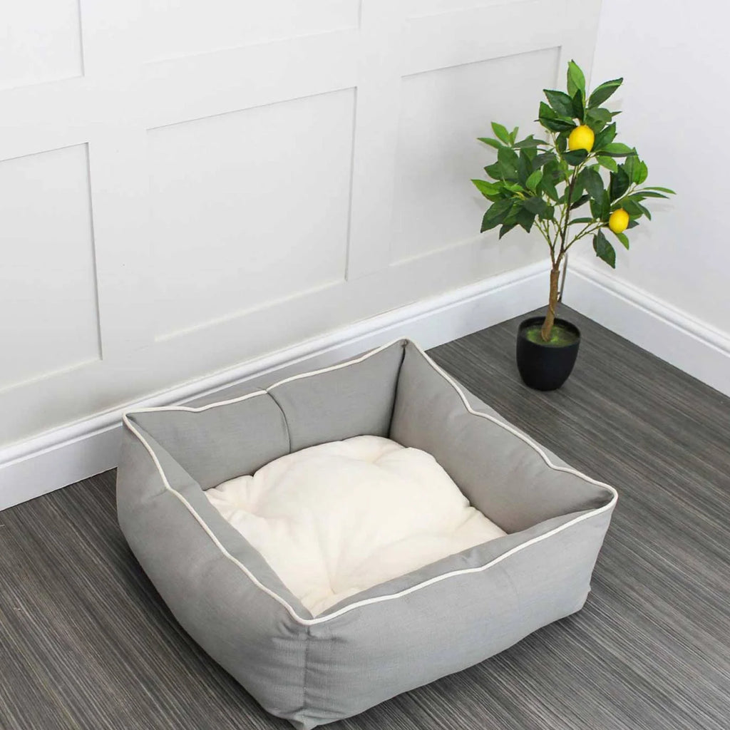 Box Bed For Dogs in Savanna