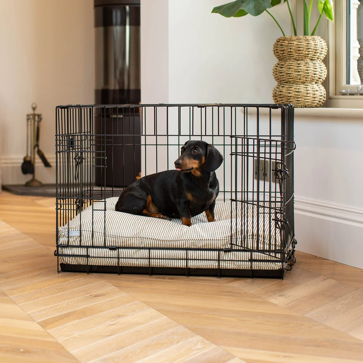 Dog Cushion in Regency Stripe