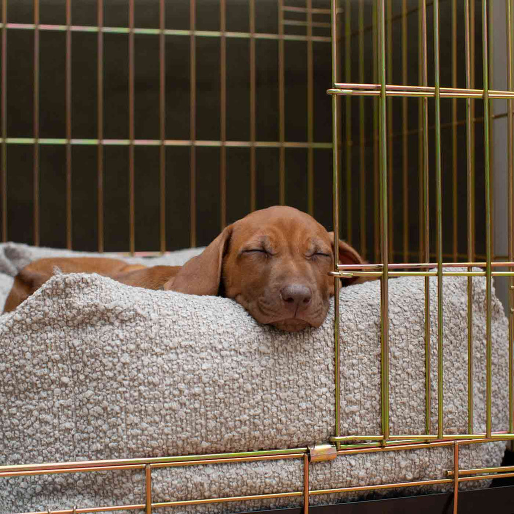 Cozy & Calming Puppy Cage Bed In Mink Bouclé