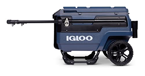 Premium Portable Cooler