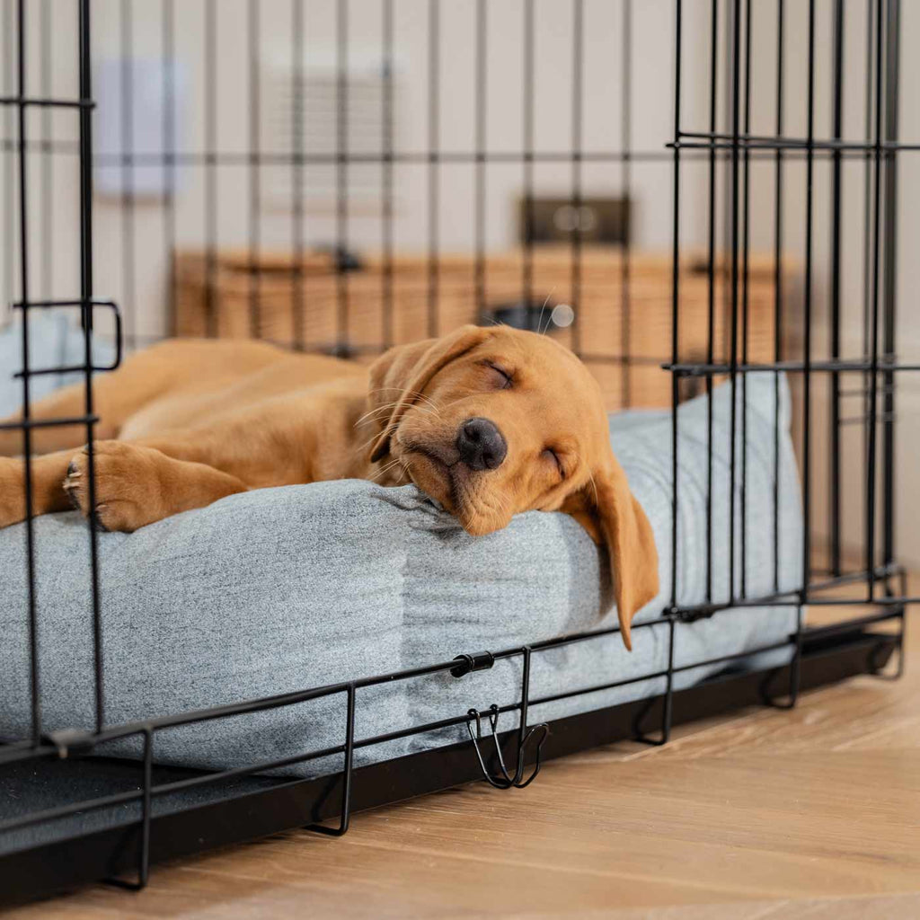 Cozy & Calming Puppy Cage Bed In Inchmurrin Iceberg