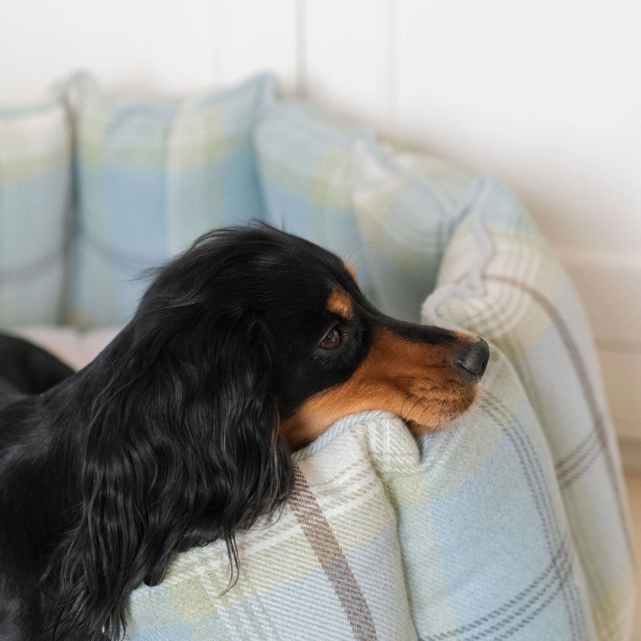 High Wall Bed For Dogs in Balmoral Tweed