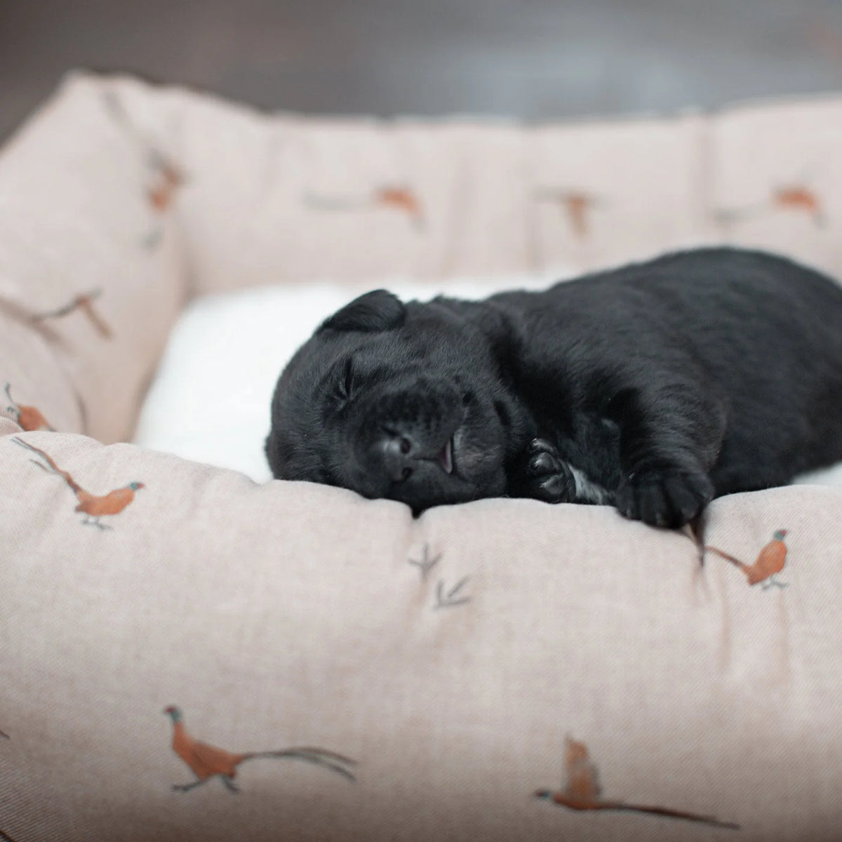 Cozy & Calming Puppy Cage Bed in Woodland Pheasant