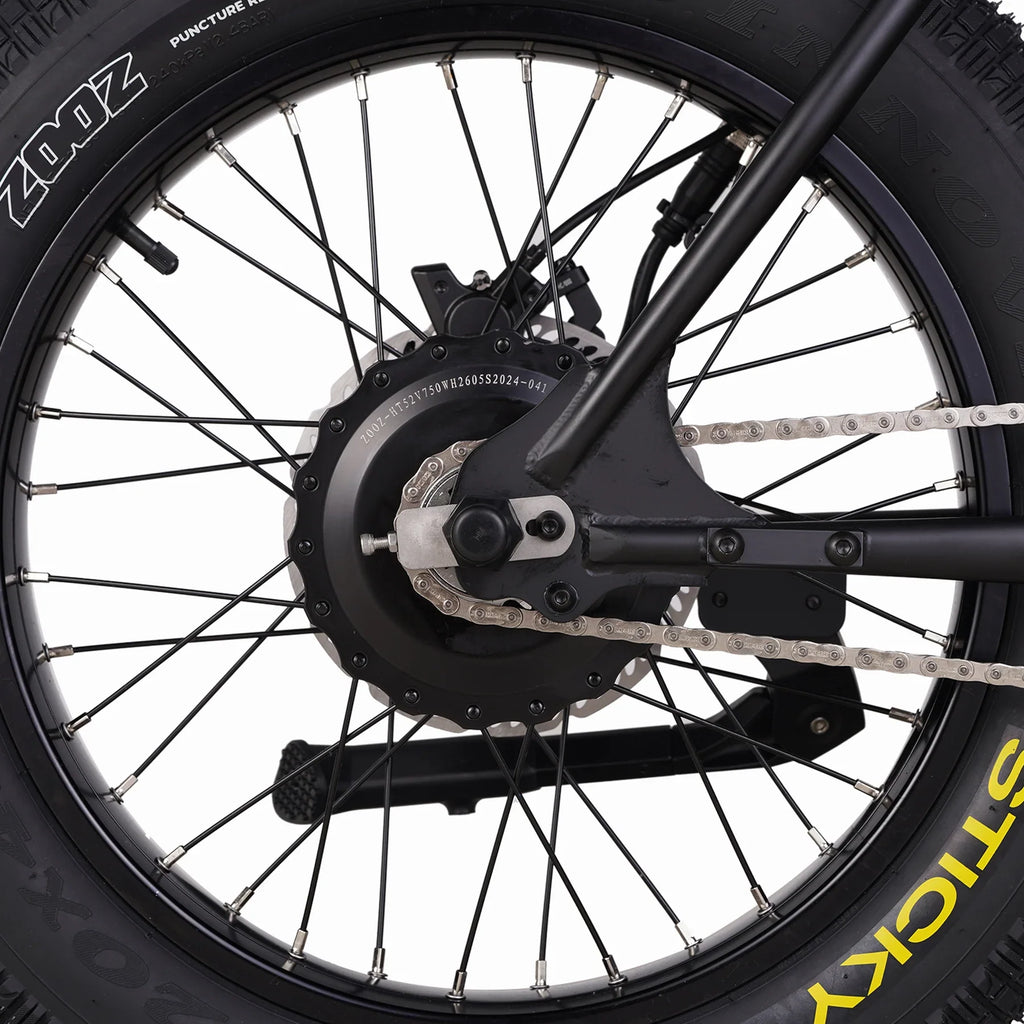 E bike