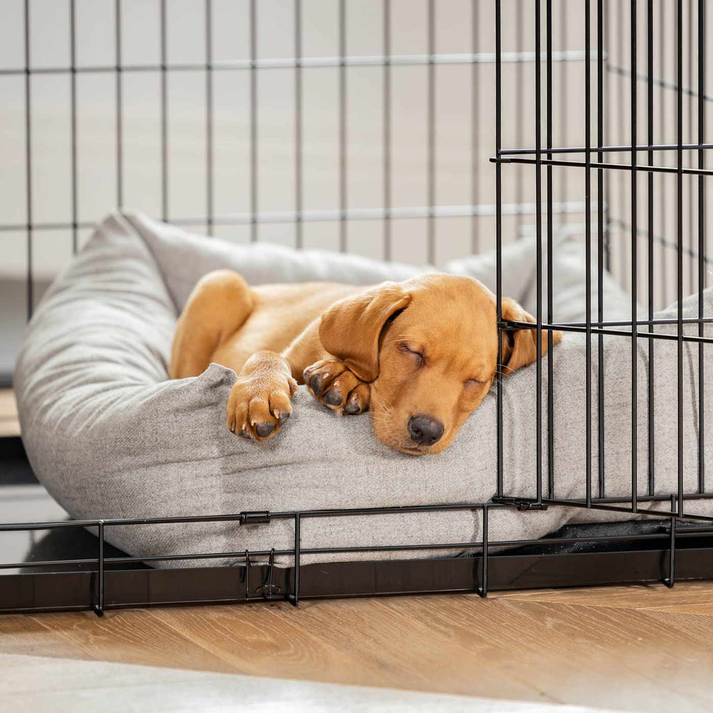 Cozy & Calming Puppy Cage Bed In Inchmurrin Ground