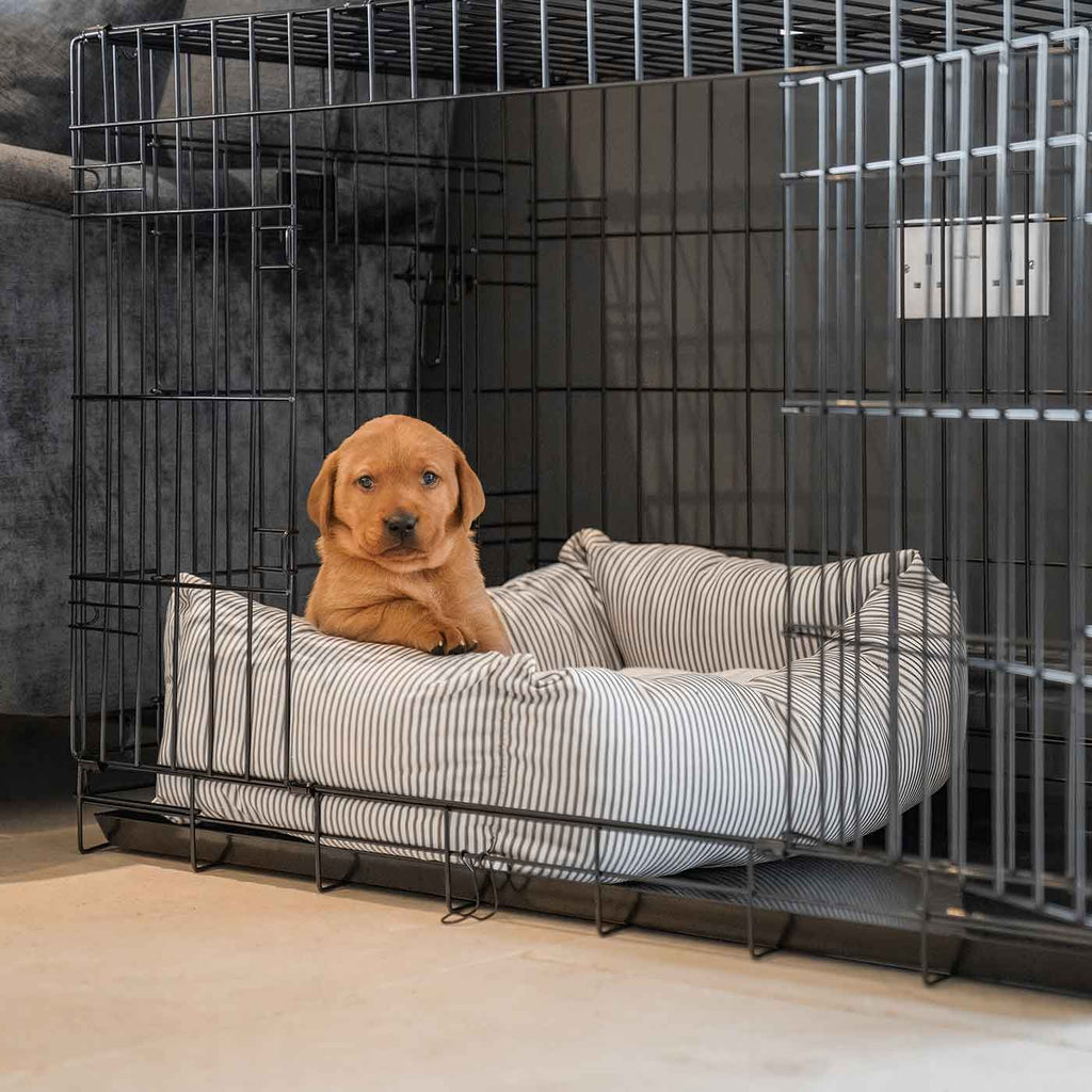 Cozy & Calming Puppy Cage Bed in Spots & Stripes