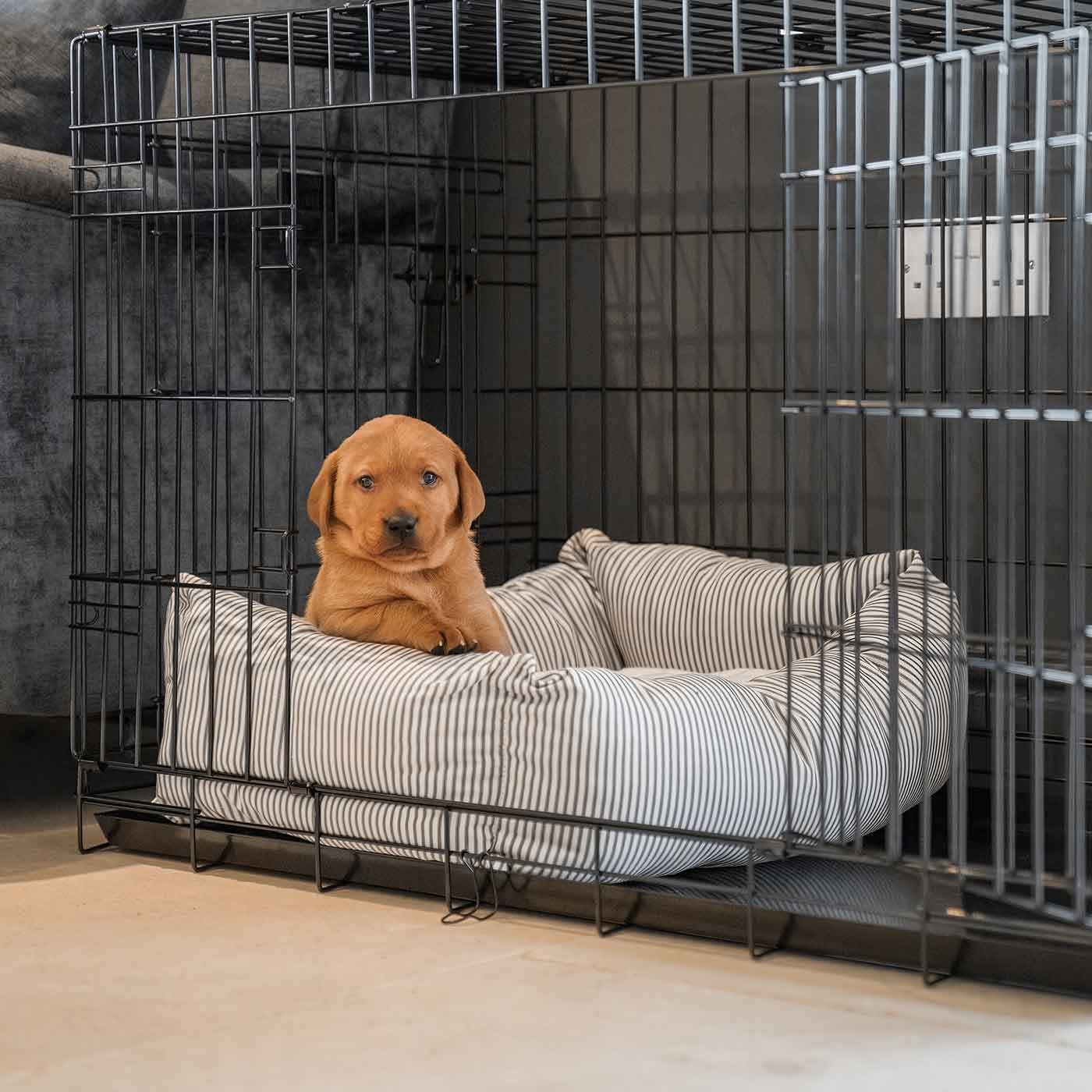Cozy & Calming Puppy Cage Bed in Spots & Stripes
